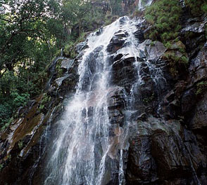 Pachmarhi Tour Packages