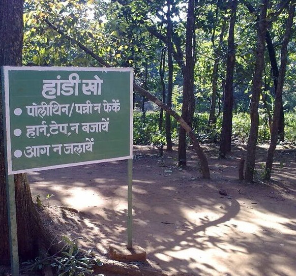 Handi Khoh Pachmarhi