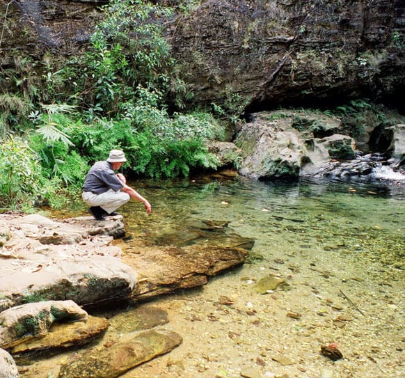 Irene Pool Pachmarhi